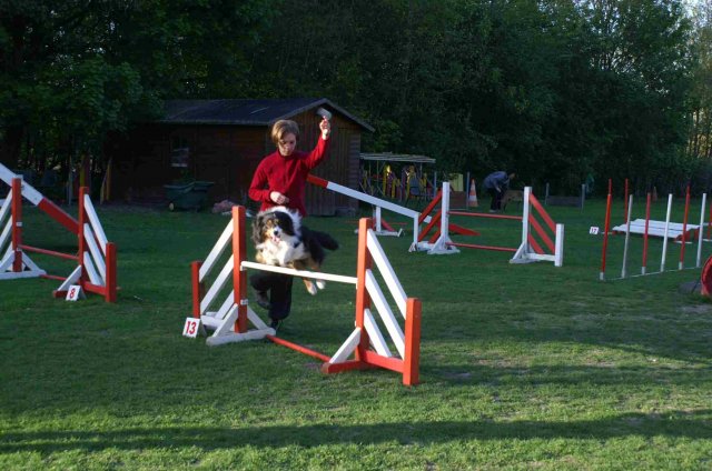 agility 2011-04
